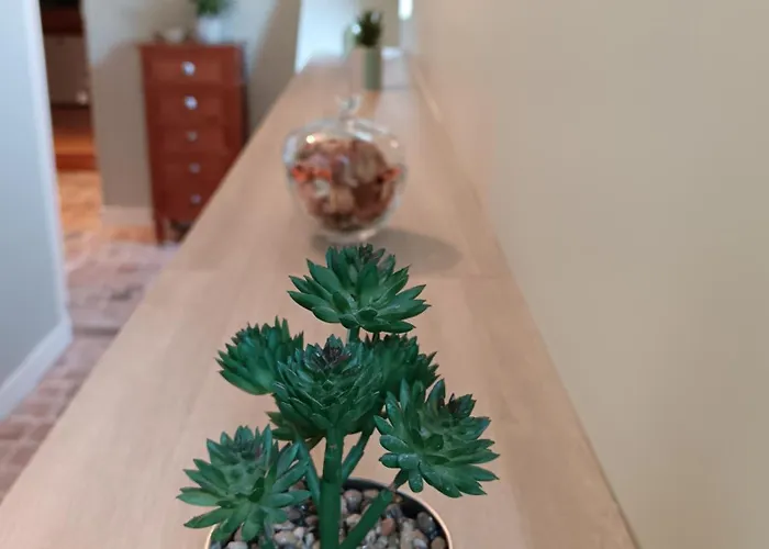 Le Prieure Des Anges Guest house